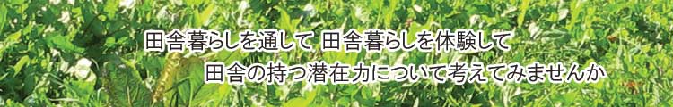 �A���̂����炵�̒���